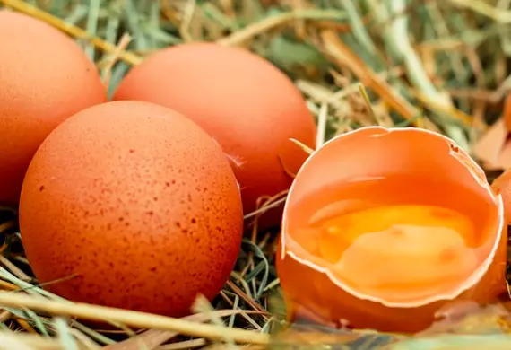 SPRING RED&reg;-EGG YOLK COLOR MATTERS