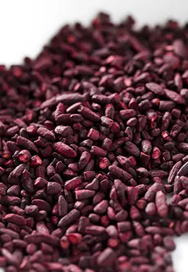 REDKOJI LINKTM HEALTH CARES