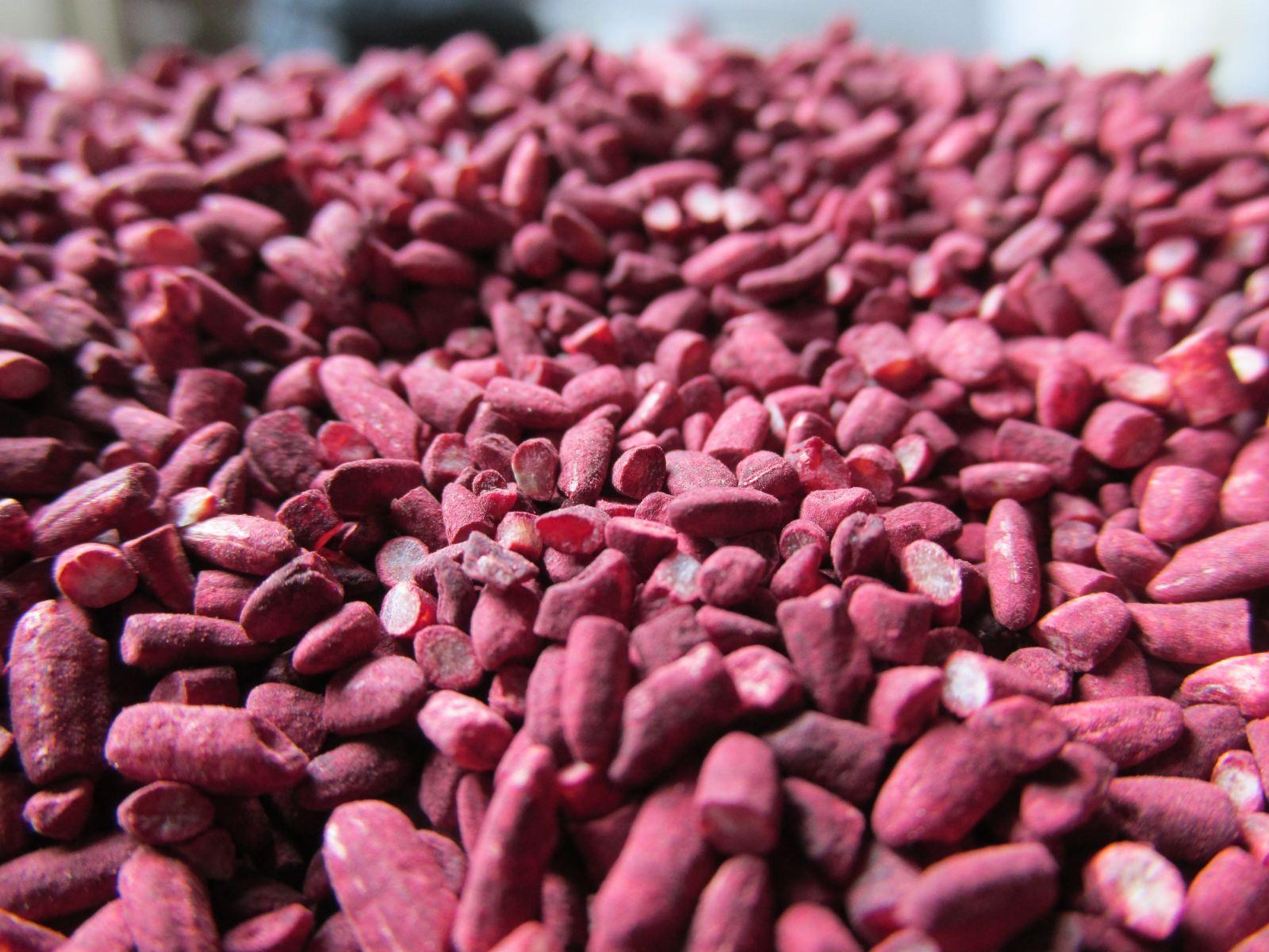 Red Yeast Rice2