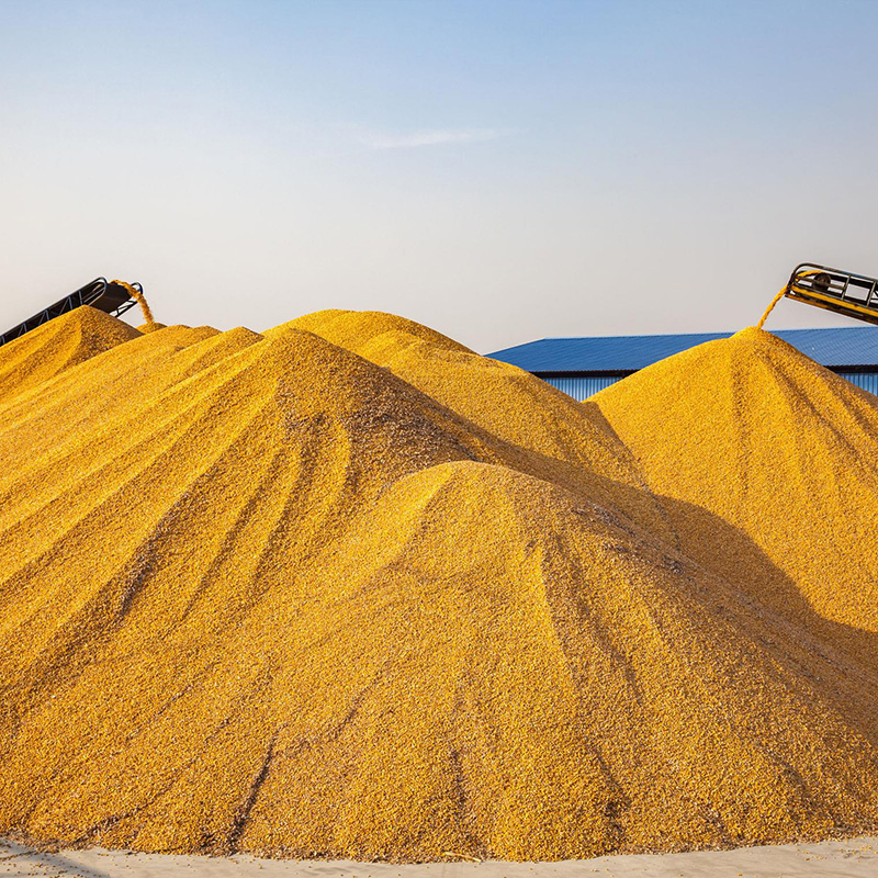 Pure Natural Marigold Extract 5%-70% Zeaxanthin Powder or beadlet  CAS 144-68-3
