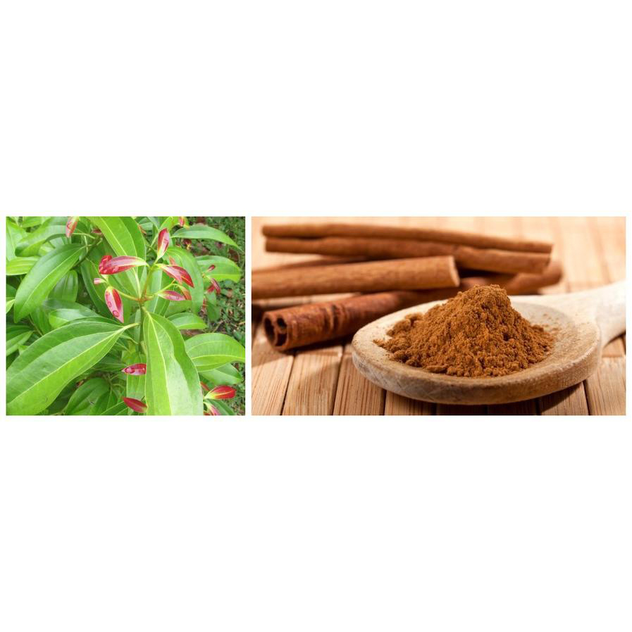 SP-AT003 Pure Natural Cinnamaldehyde Powder As an Alternatives of antibiotics with strong  antimicrobial effect to Gram-negative bacteria